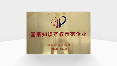 國家知識(shí)產(chǎn)權(quán)示范企業(yè)