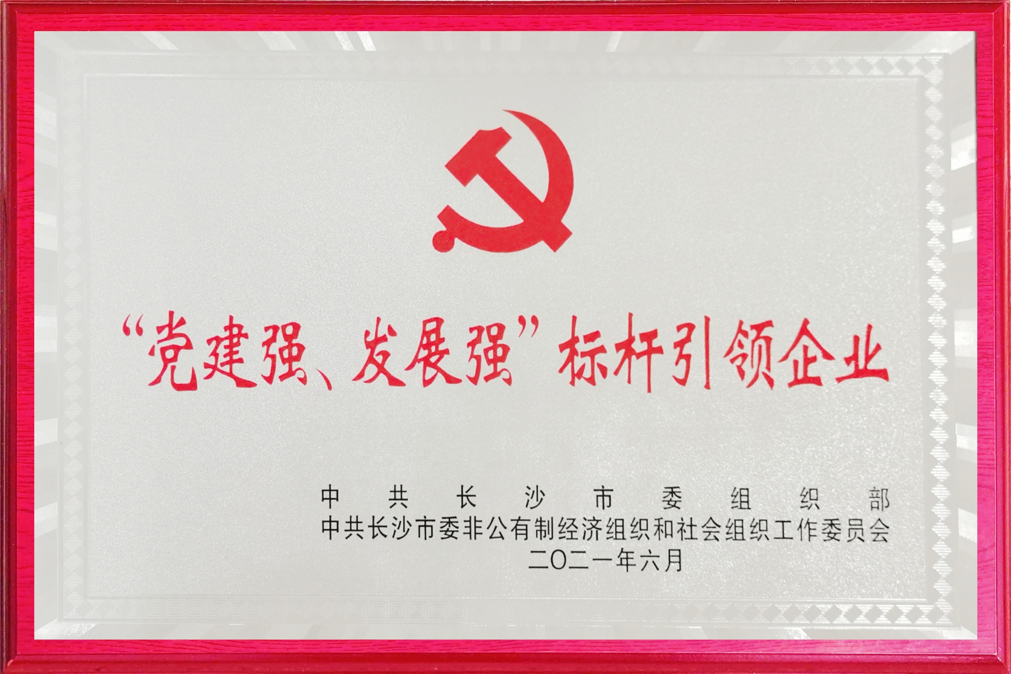 九芝堂榮獲長(zhǎng)沙市兩新領(lǐng)域“黨建強(qiáng)、發(fā)展強(qiáng)”標(biāo)桿引領(lǐng)企業(yè)